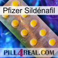 Pfizer Sildénafil new11